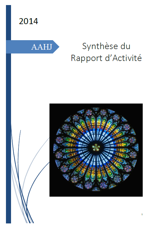 synthese rapport activite 2014